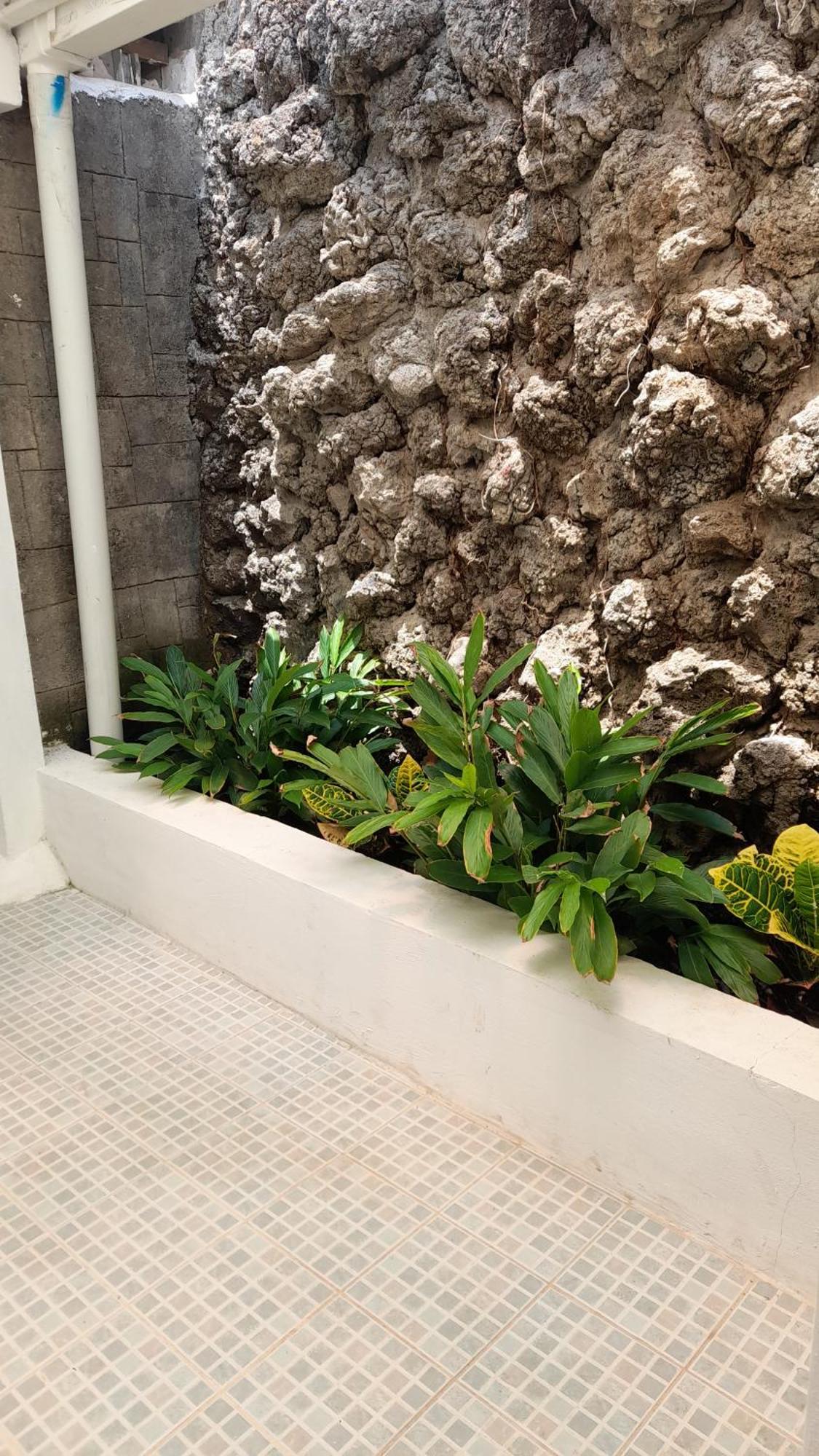 Managua Inn Δωμάτιο φωτογραφία